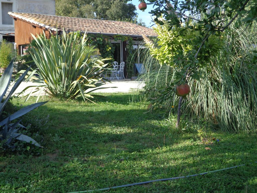 Gites Du Mas Gibert A Saussines Entre Nimes Et Montpellier Bagian luar foto